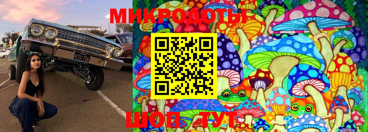 Галлюциногенные грибы мицелий  Вход с VPN  Заводоуковск  Галлюциногенные грибы GOLDEN TEACHER 